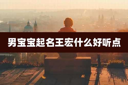 男宝宝起名王宏什么好听点