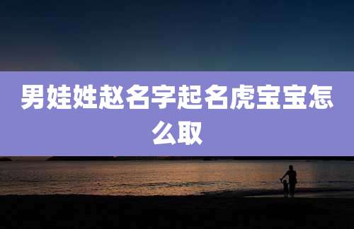男娃姓赵名字起名虎宝宝怎么取