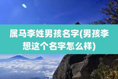 属马李姓男孩名字(男孩李想这个名字怎么样)