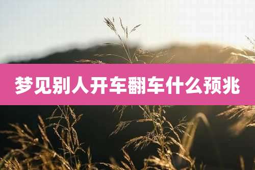 梦见别人开车翻车什么预兆