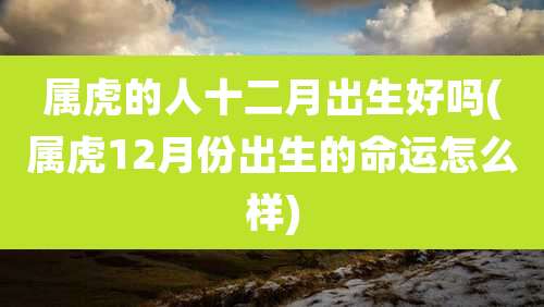 属虎的人十二月出生好吗(属虎12月份出生的命运怎么样)