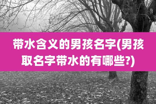 带水含义的男孩名字(男孩取名字带水的有哪些?)