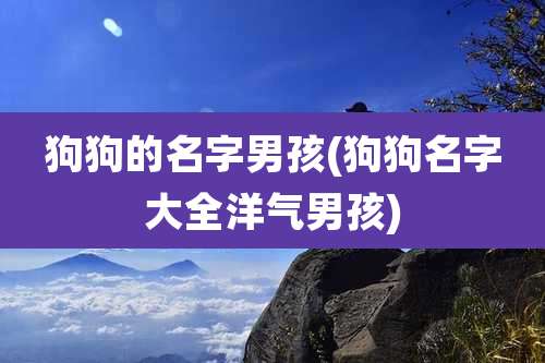 狗狗的名字男孩(狗狗名字大全洋气男孩)
