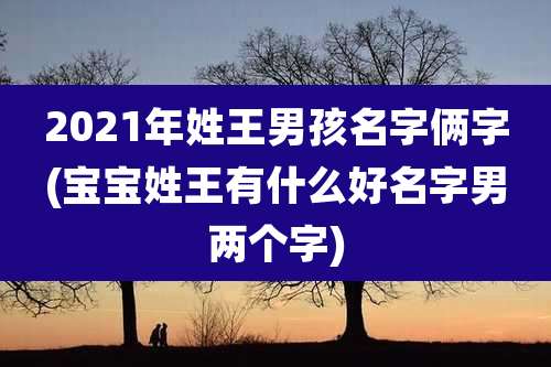 2021年姓王男孩名字俩字(宝宝姓王有什么好名字男两个字)
