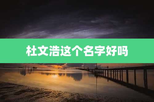 杜文浩这个名字好吗