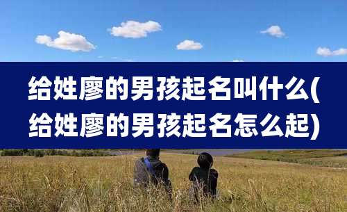 给姓廖的男孩起名叫什么(给姓廖的男孩起名怎么起)