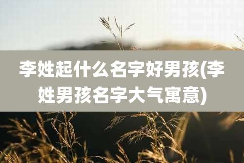 李姓起什么名字好男孩(李姓男孩名字大气寓意)