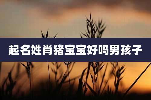 起名姓肖猪宝宝好吗男孩子