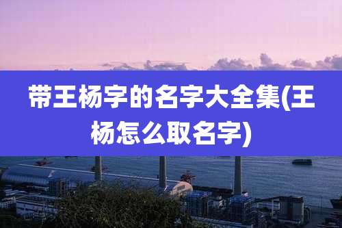 带王杨字的名字大全集(王杨怎么取名字)