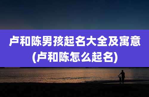 卢和陈男孩起名大全及寓意(卢和陈怎么起名)