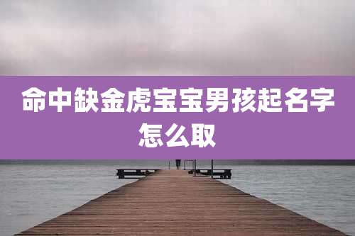 命中缺金虎宝宝男孩起名字怎么取