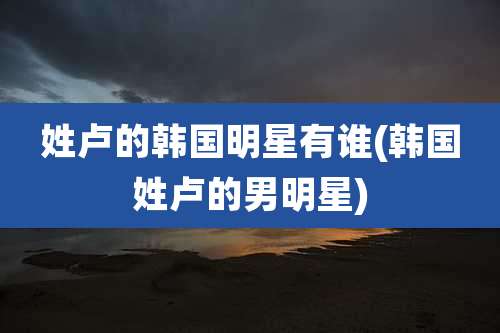 姓卢的韩国明星有谁(韩国姓卢的男明星)