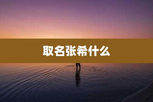 取名张希什么