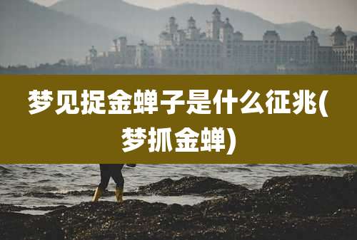 梦见捉金蝉子是什么征兆(梦抓金蝉)