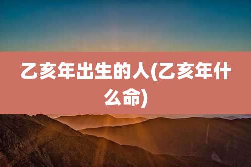 乙亥年出生的人(乙亥年什么命)