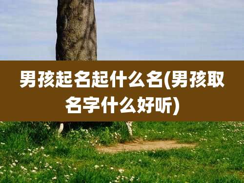 男孩起名起什么名(男孩取名字什么好听)