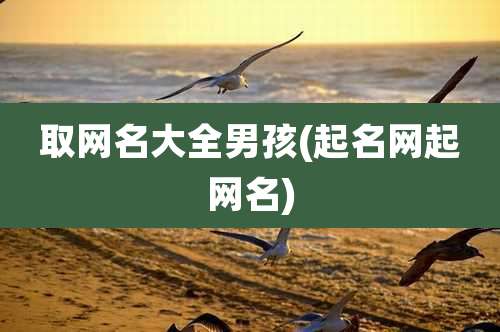 取网名大全男孩(起名网起网名)