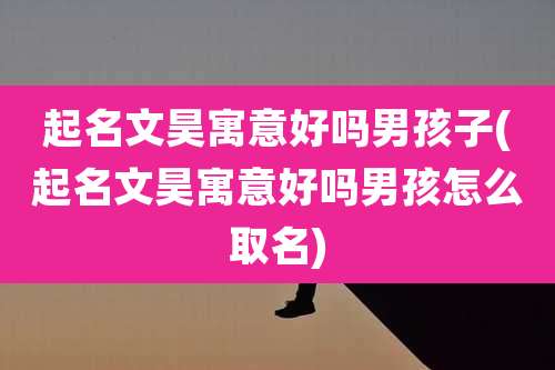 起名文昊寓意好吗男孩子(起名文昊寓意好吗男孩怎么取名)