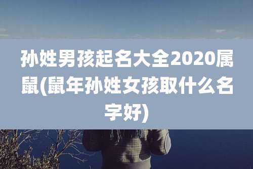 孙姓男孩起名大全2020属鼠(鼠年孙姓女孩取什么名字好)