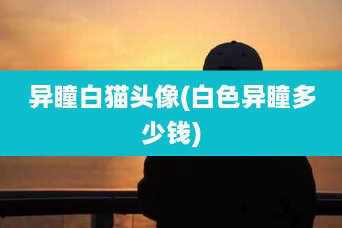 异瞳白猫头像(白色异瞳多少钱)