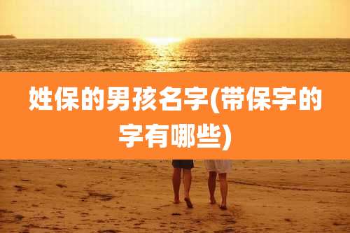 姓保的男孩名字(带保字的字有哪些)