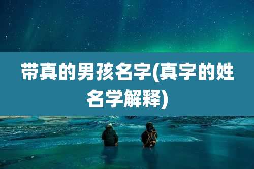 带真的男孩名字(真字的姓名学解释)