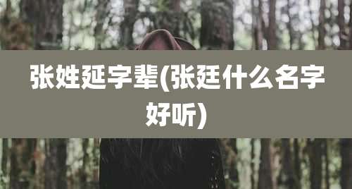 张姓延字辈(张廷什么名字好听)