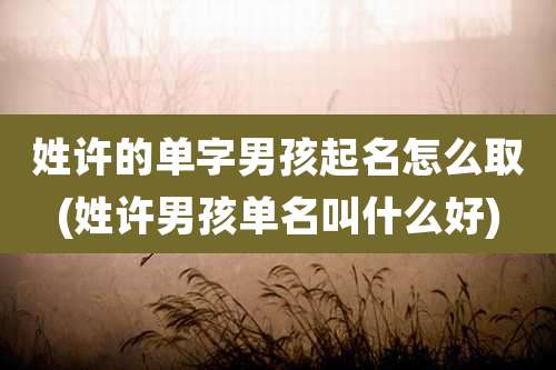 姓许的单字男孩起名怎么取(姓许男孩单名叫什么好)