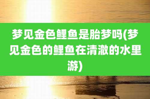 梦见金色鲤鱼是胎梦吗(梦见金色的鲤鱼在清澈的水里游)