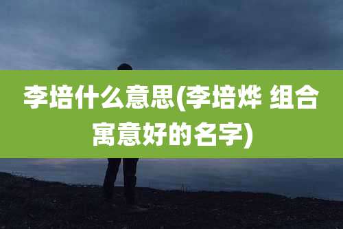 李培什么意思(李培烨 组合寓意好的名字)