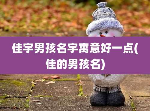 佳字男孩名字寓意好一点(佳的男孩名)
