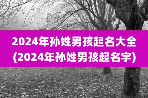 2024年孙姓男孩起名大全(2024年孙姓男孩起名字)
