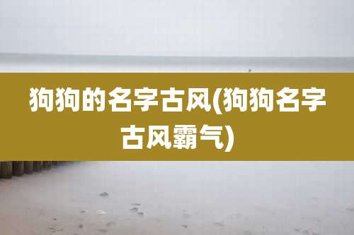 狗狗的名字古风(狗狗名字古风霸气)
