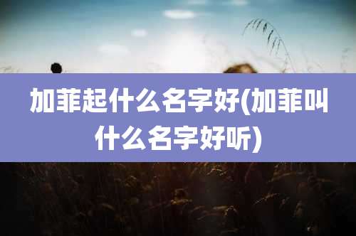 加菲起什么名字好(加菲叫什么名字好听)
