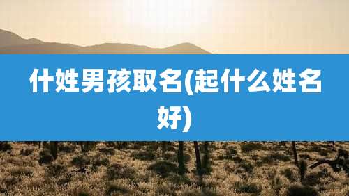 什姓男孩取名(起什么姓名好)