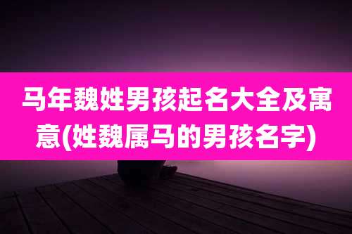 马年魏姓男孩起名大全及寓意(姓魏属马的男孩名字)