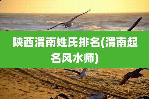 陕西渭南姓氏排名(渭南起名风水师)