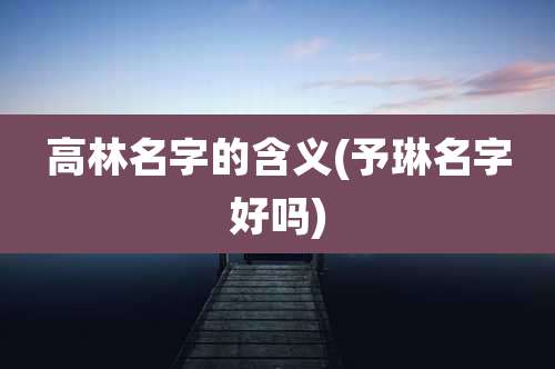 高林名字的含义(予琳名字好吗)