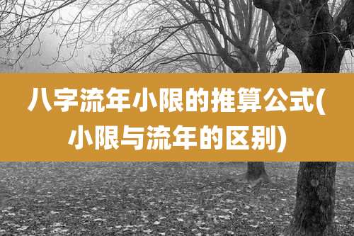 八字流年小限的推算公式(小限与流年的区别)