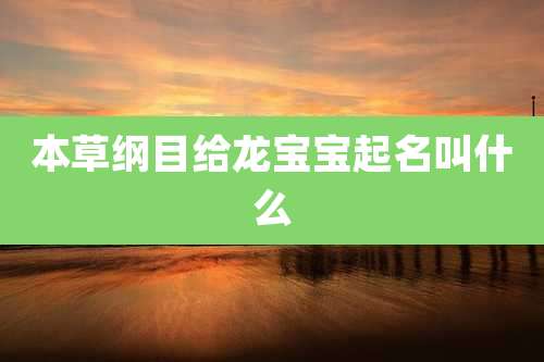 本草纲目给龙宝宝起名叫什么