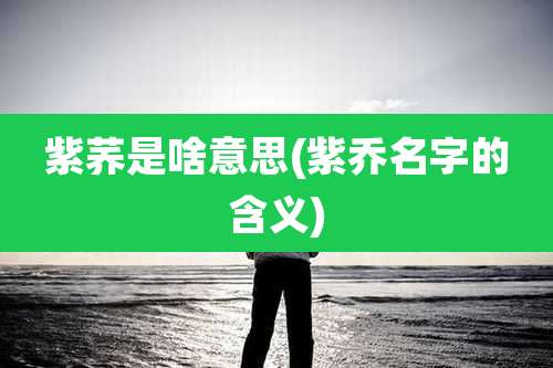 紫荞是啥意思(紫乔名字的含义)