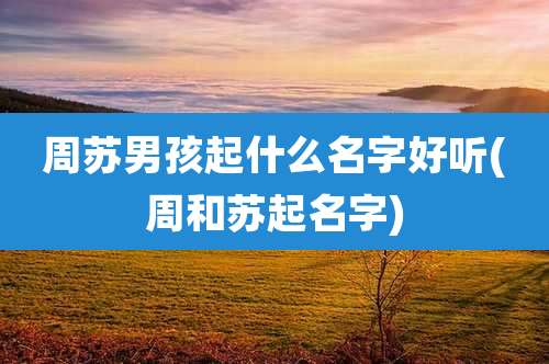周苏男孩起什么名字好听(周和苏起名字)