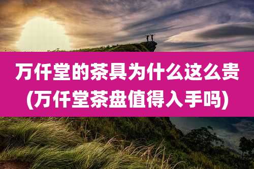 万仟堂的茶具为什么这么贵(万仟堂茶盘值得入手吗)