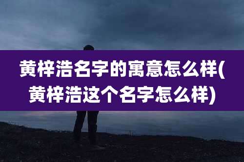 黄梓浩名字的寓意怎么样(黄梓浩这个名字怎么样)
