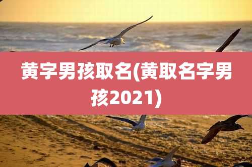 黄字男孩取名(黄取名字男孩2021)