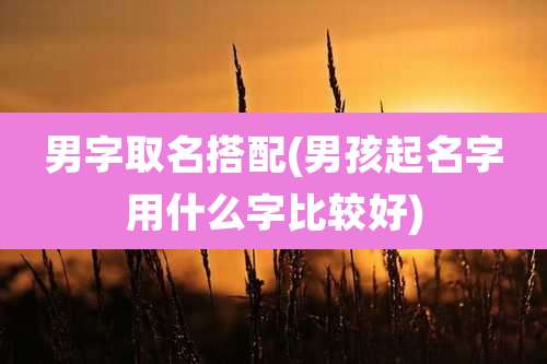 男字取名搭配(男孩起名字用什么字比较好)