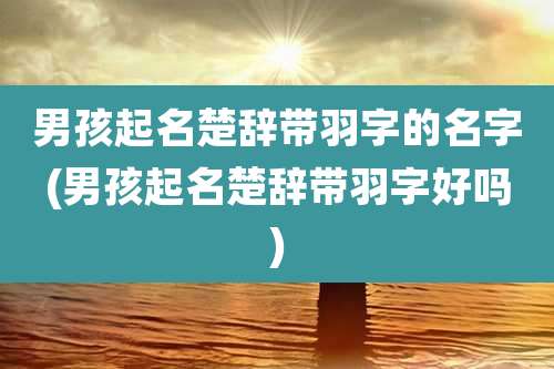 男孩起名楚辞带羽字的名字(男孩起名楚辞带羽字好吗)