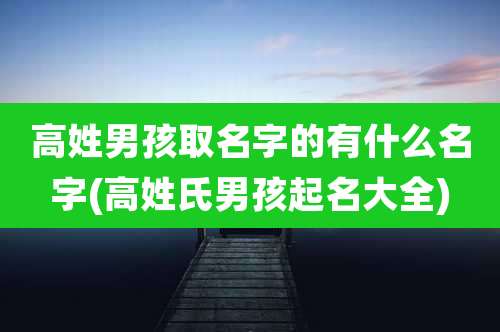 高姓男孩取名字的有什么名字(高姓氏男孩起名大全)