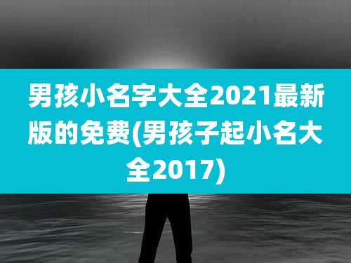 男孩小名字大全2021最新版的免费(男孩子起小名大全2017)