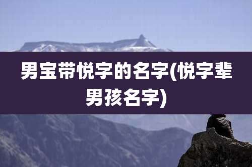 男宝带悦字的名字(悦字辈男孩名字)